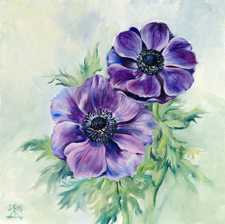 Anemone Flower Oil Painting By Daria Galinski Artfinder