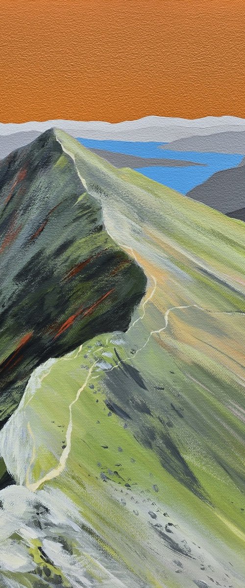 Catstye Cam by Sam Martin