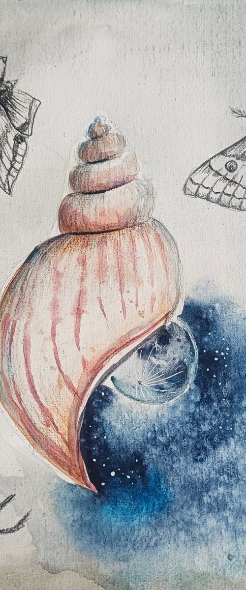 Night Seashell (small) by Evgenia Smirnova