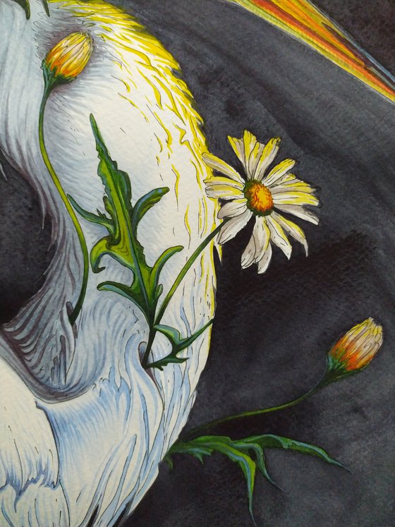 Bird of Light