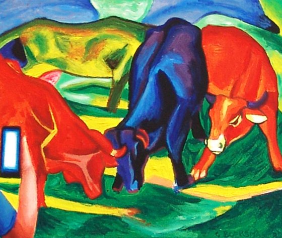 Bulls Fighting