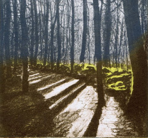 Woodland Shadow 2 by Aidan Flanagan Irish Landscapes