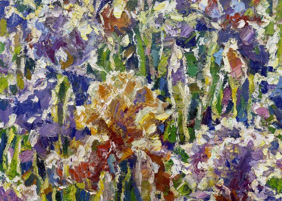 Dance of irises