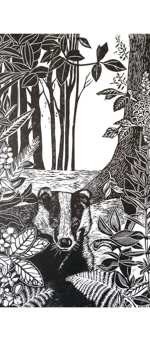 Mr Badger by Carolynne Coulson