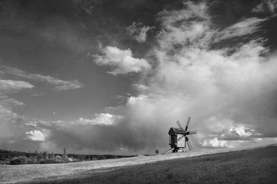 Summer windy day.