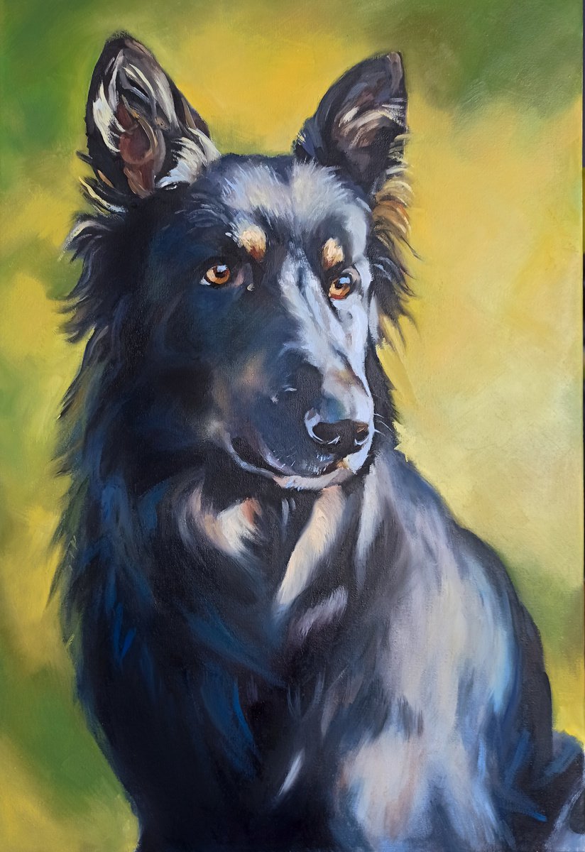 Portrait of a dog I. by Magdalena Palega