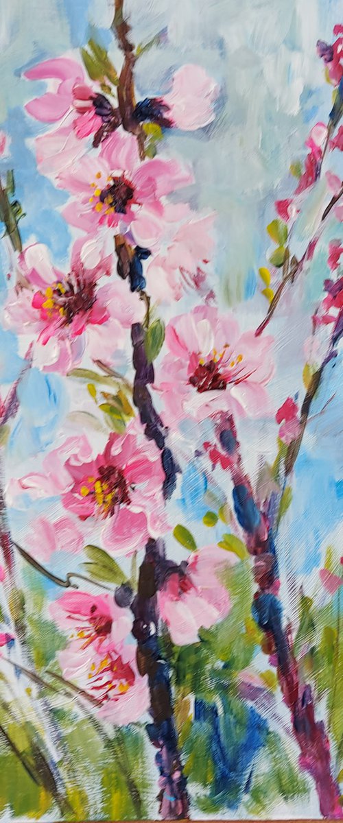 Blossom in Cieza by Silvia Flores Vitiello