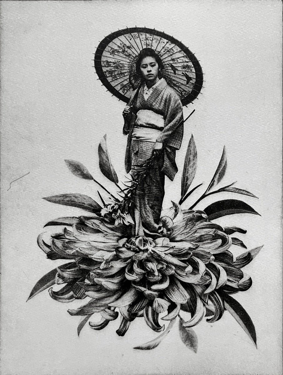 Photorealistic Portrait Etchings & Engravings By Jaco Putker, 10 X 13, Kiku I, Original Artwork