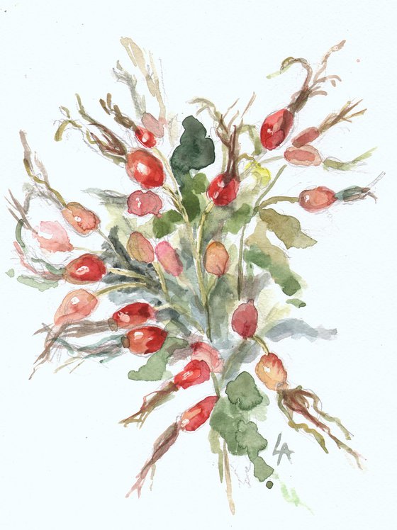Dog-rose fetus