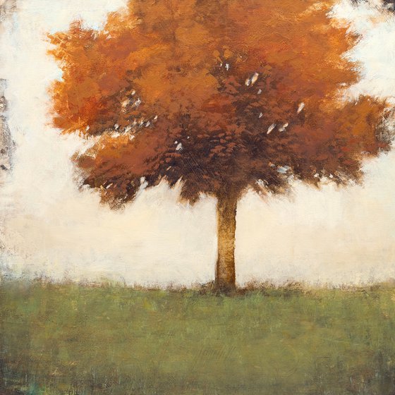 Bronze Maple 2603032