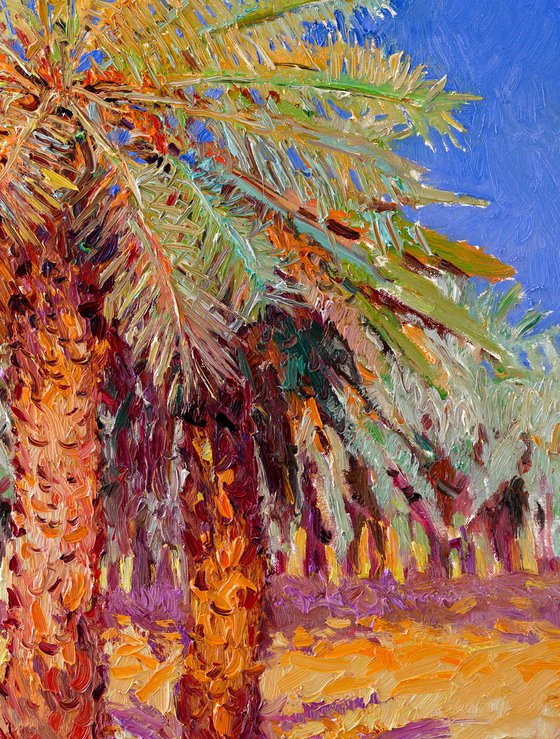Date Palms in the Desert