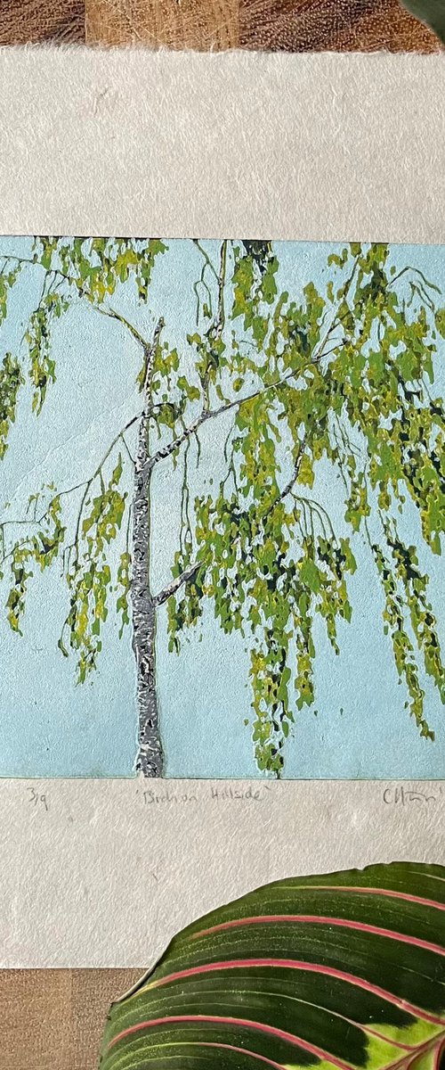 Birch Tree Linocut Print by C Staunton