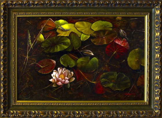 Water lilies in marsh leaves