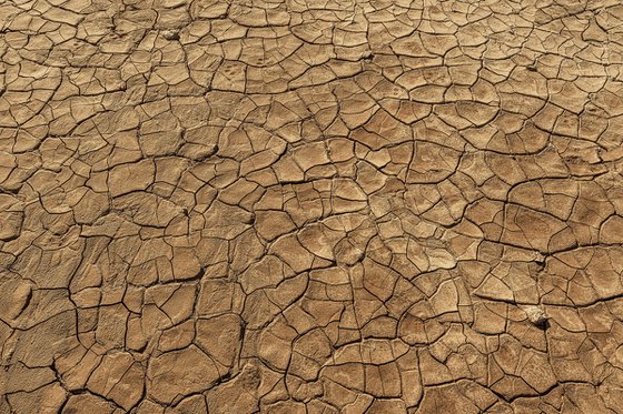 Drought