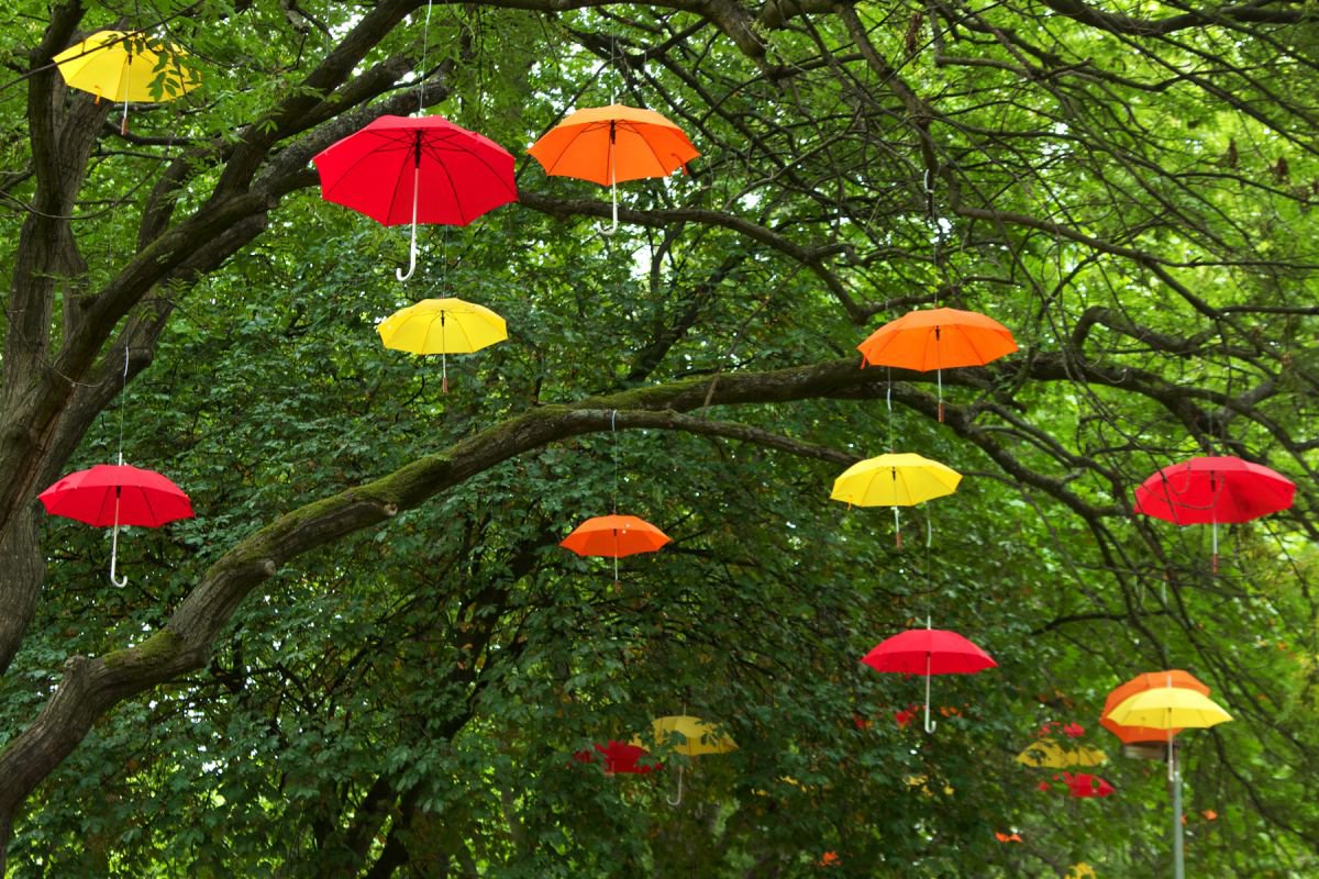 Umbrellas by Vincent Abbey