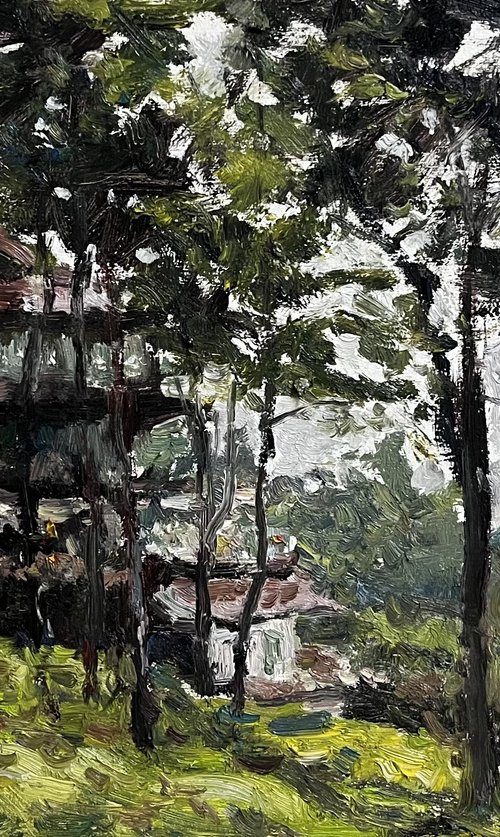 Scenic Resort View,Pua, Nan Province, by Sarawut Donrasri