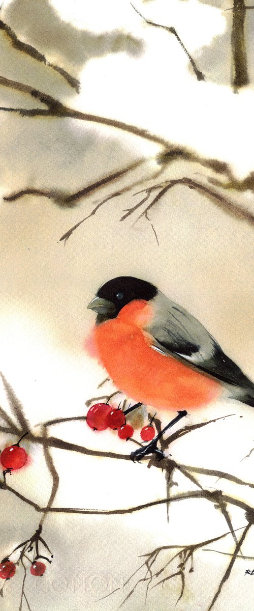 Bullfinch by REME Jr.