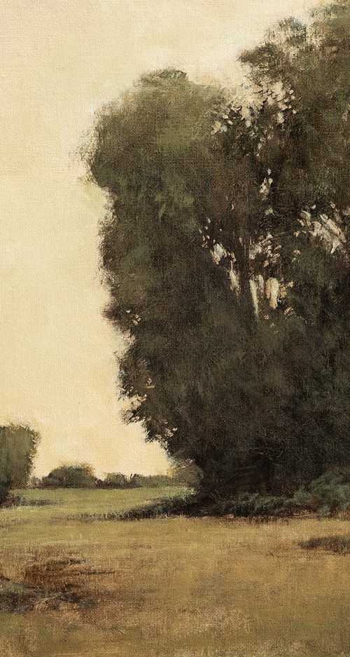 August Trees 220814, Tonal landscape and trees impressionist oil painting by Don Bishop