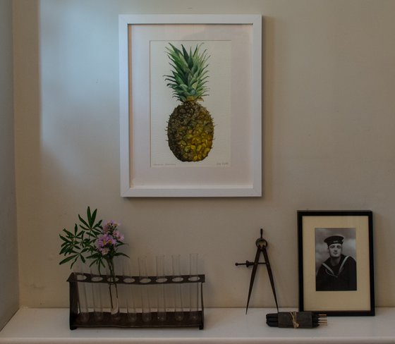 Pineapple Still Life