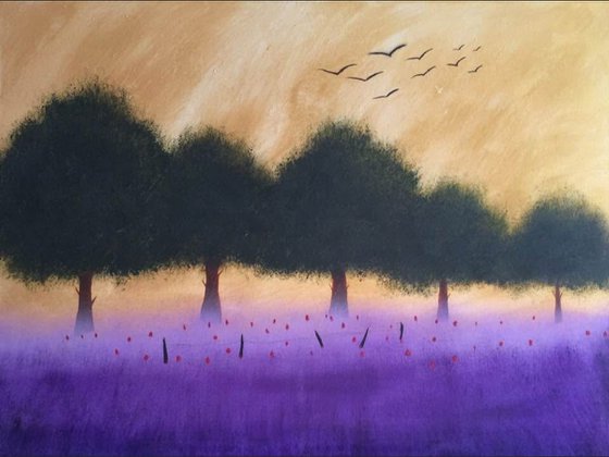 “Flying Across The Provence”