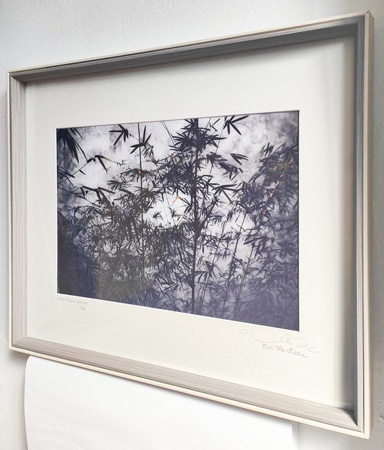 (FRAMED) The power of simplicity II