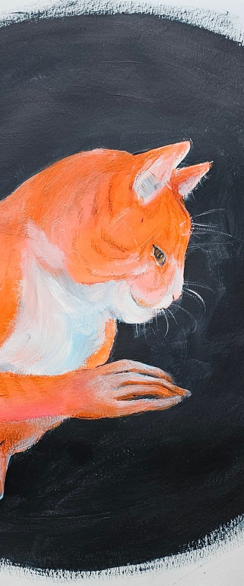 Orange ginger cat portrait on black by Ksenia June