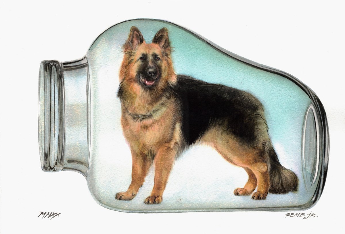 Photorealistic Animal Watercolour By Reme Jr., 14 X 10", German Shepherd In Jar Iv, Original Artwork