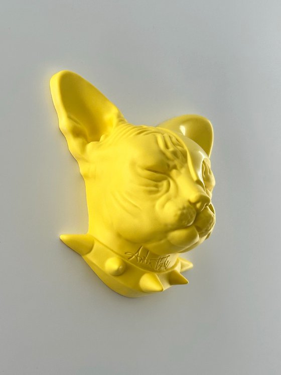 DUALCAT - CANARY YELLOW 9/9