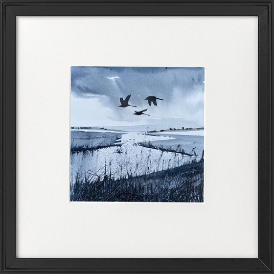 Monochrome - Swans Flying over wetlands