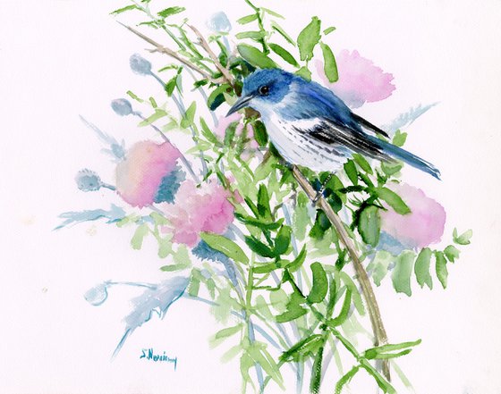 Cerulean Warbler