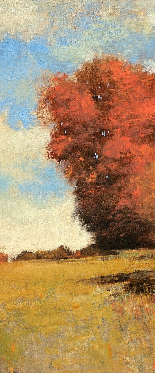 Bright Fall Day 230928 by Don Bishop