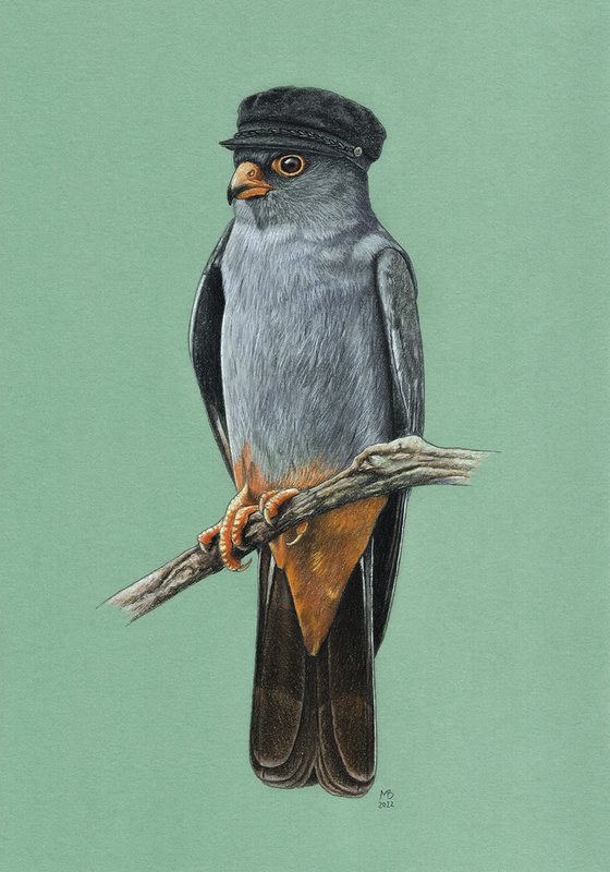 Original pastel drawing bird "Red-footed falcon"