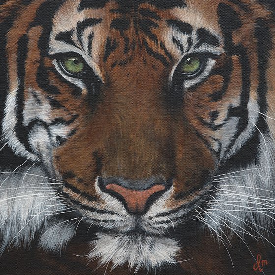 Painting Eye of the tiger
