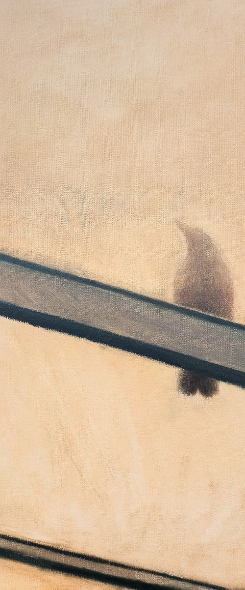 Bird's Silhouette Behind Metal Bars by Eliza Kołodziej