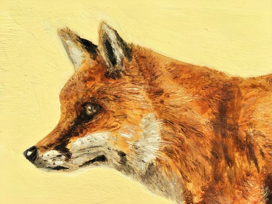 'Fox'