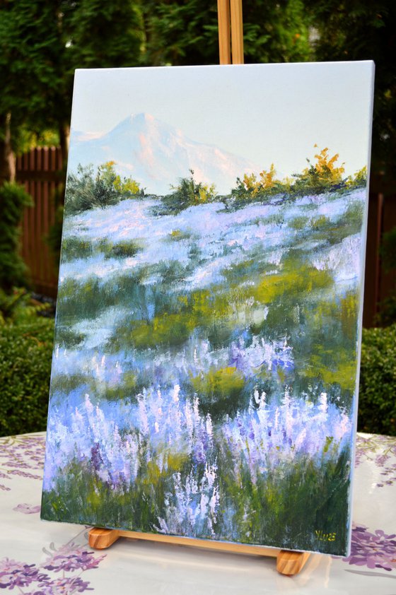 Wild lavender in the haze of the morning sun