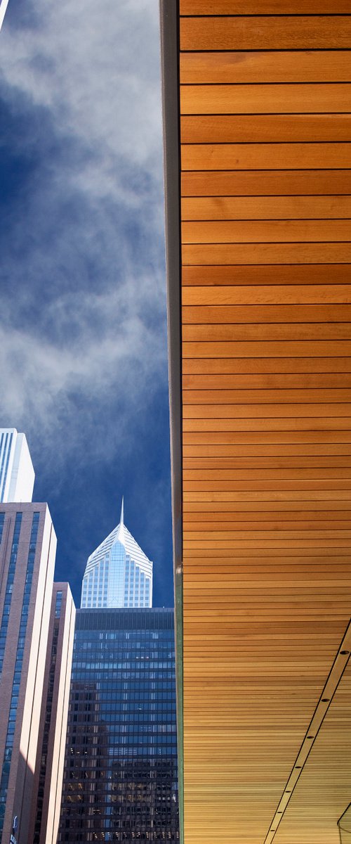 EDGE OF THE CITY Apple Store Chicago by William Dey