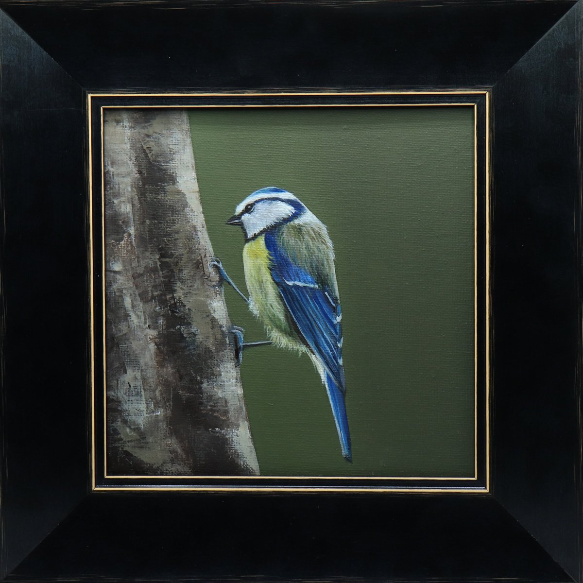 Blue Tit Clinging to Tree by Alex Jabore