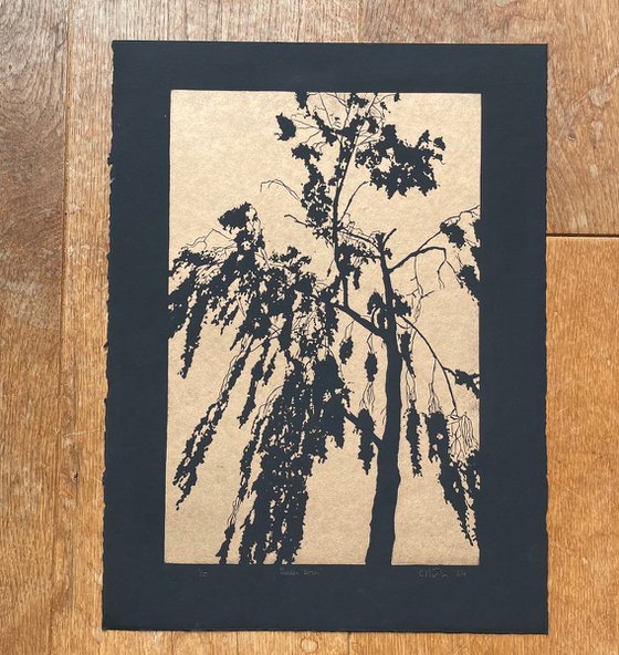 Golden Birch - Birch tree Linocut Print