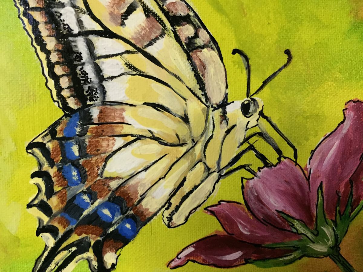 Impressionistic Botanical Acrylic Painting By Carolyn Shoemaker (Soma), 12 X 12, Tiger Swallowtail Butterfly, Original Artwork