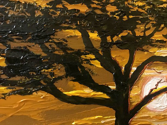 Golden sunset. Safari