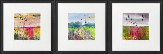 Three swallow watercolours framed