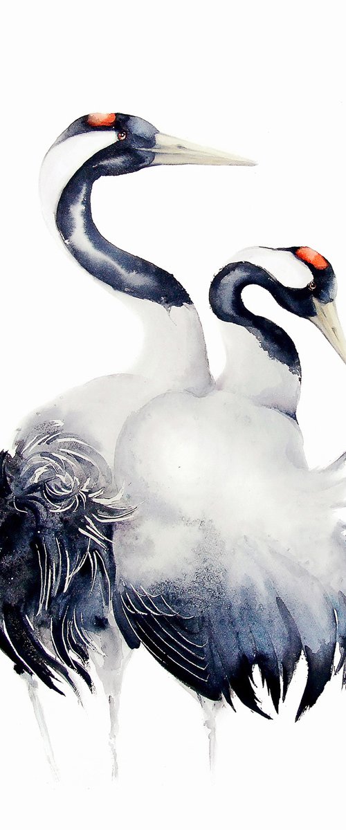 Common Cranes,  bird, birds, animals, wildlife watercolour painting by Karolina Kijak