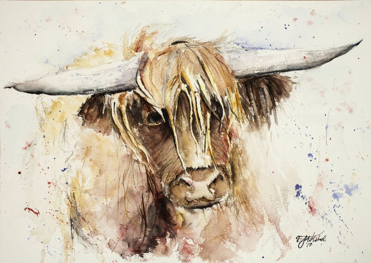 Highland Cow Watercolour By Tomasz Mikutel Artfinder