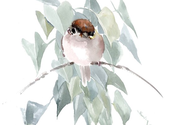 Sparrow
