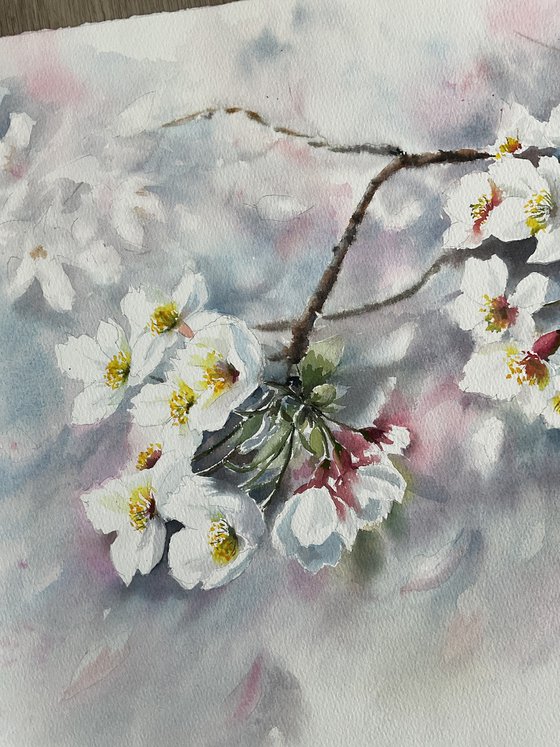 Whisper of petals, blossoms, apples