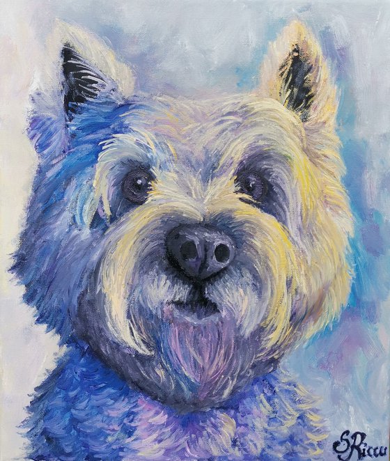 West Highland White terrier. 30x35 cm