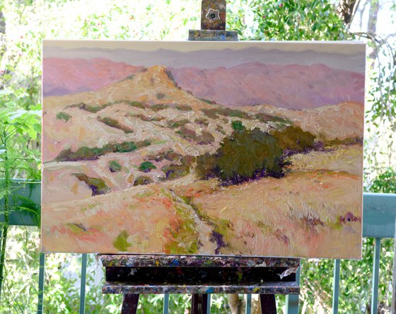 Summer Morning. California Mountains