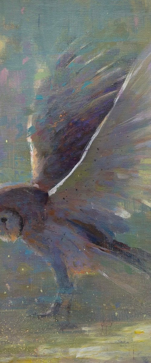 Slow this bird down by Aleksandr Jerochin