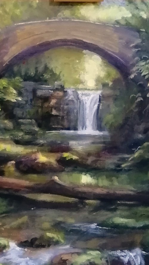 In the shadows by Alan Harris